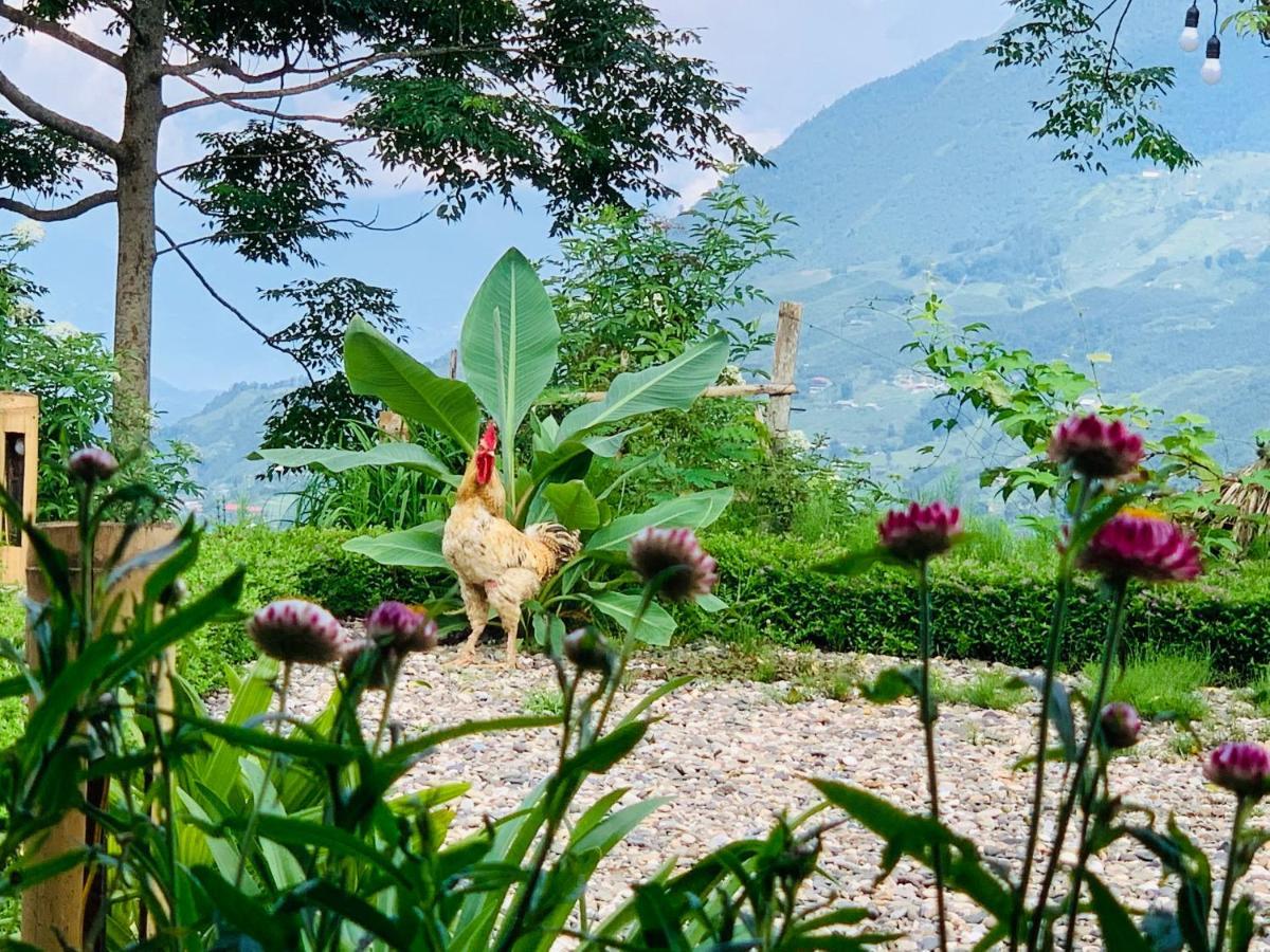 Отель Sapa Rosie House Экстерьер фото